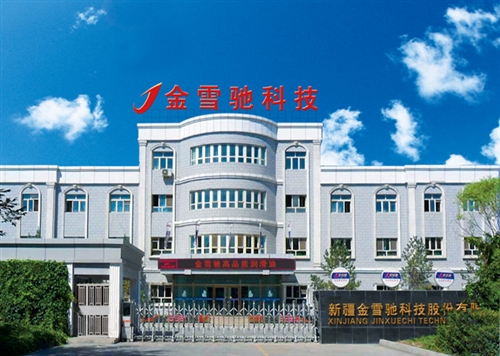 新疆金雪驰科技股份有限公司